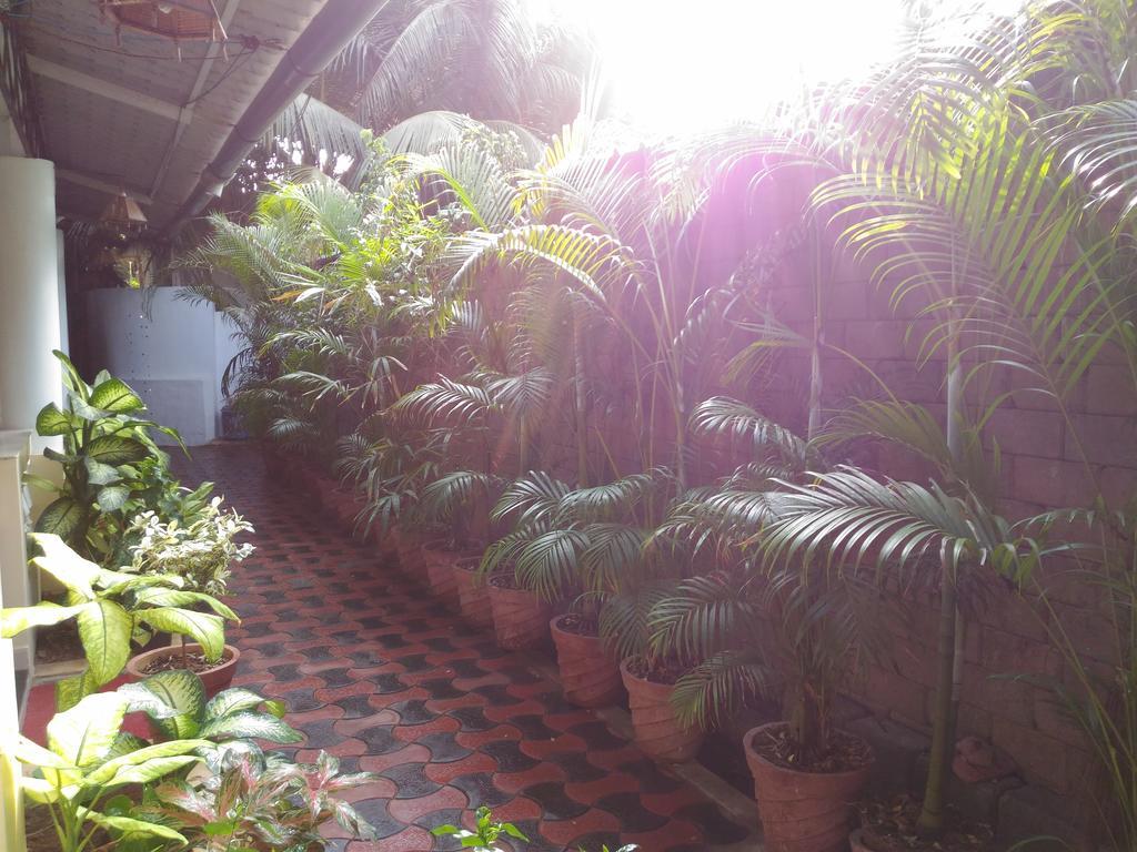 Alba Rooms Palolem Rosebuds Luaran gambar